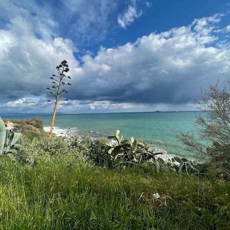La Casina A Piombino Apartman Kültér fotó