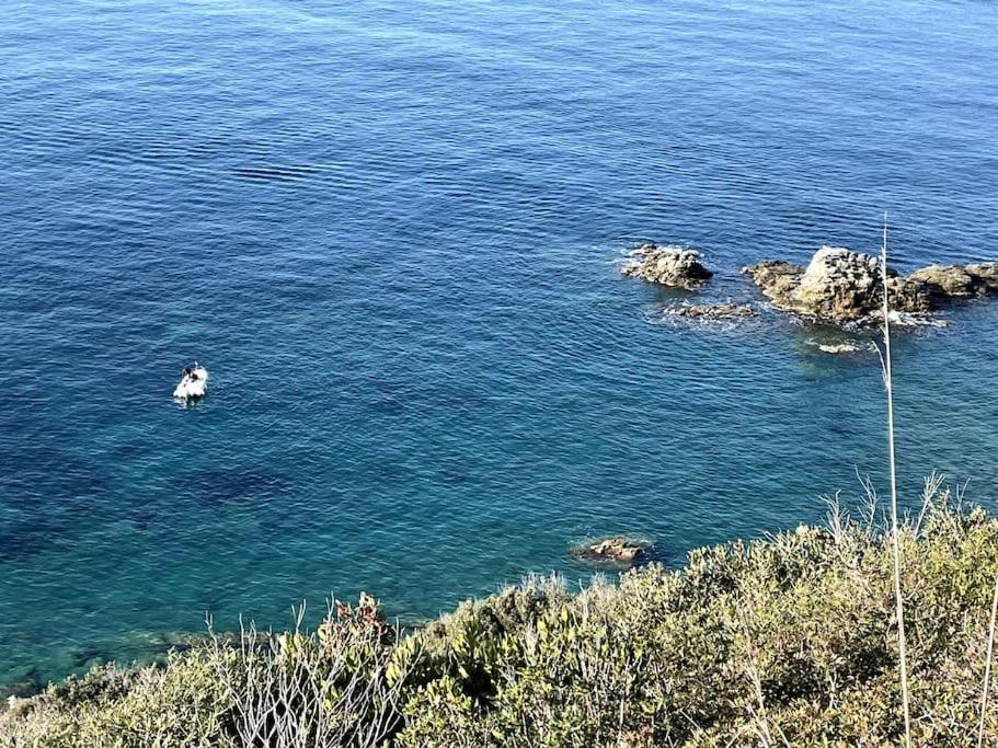 La Casina A Piombino Apartman Kültér fotó
